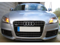 Cornice cromata griglia radiatore Audi TT S&eacute;rie 2 06-14 Audi TT RS Audi TTS