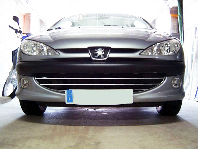 Cornice cromata griglia radiatore Peugeot 206 Peugeot 206 CC Peugeot 206 SW nido dapi
