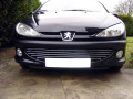 Cornice cromata griglia radiatore Peugeot 206 Peugeot 206 CC Peugeot 206 SW