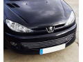 Cornice cromata griglia radiatore Peugeot 206 Peugeot 206 CC Peugeot 206 SW