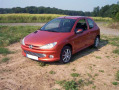 Cornice cromata griglia radiatore Peugeot 206 Peugeot 206 CC Peugeot 206 SW