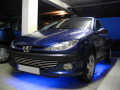 Cornice cromata griglia radiatore Peugeot 206 Peugeot 206 CC Peugeot 206 SW