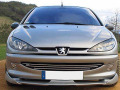 Cornice cromata griglia radiatore Peugeot 206 Peugeot 206 CC Peugeot 206 SW