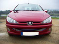 Cornice cromata griglia radiatore Peugeot 206 Peugeot 206 CC Peugeot 206 SW
