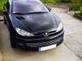 Cornice cromata griglia radiatore Peugeot 206 Peugeot 206 CC Peugeot 206 SW