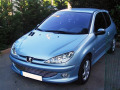 Cornice cromata griglia radiatore Peugeot 206 Peugeot 206 CC Peugeot 206 SW