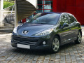 Cornice cromata griglia radiatore Peugeot 207 06-12 Peugeot 207 CC 07-15 Peugeot 207 SW 07-13