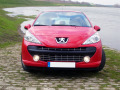 Cornice cromata griglia radiatore Peugeot 207 06-12 Peugeot 207 CC 07-15 Peugeot 207 SW 07-13