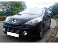 Cornice cromata griglia radiatore Peugeot 207 06-12 Peugeot 207 CC 07-15 Peugeot 207 SW 07-13