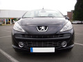 Cornice cromata griglia radiatore Peugeot 207 06-12 Peugeot 207 CC 07-15 Peugeot 207 SW 07-13