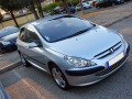 Cornice cromata griglia radiatore Peugeot 307 01-05 Peugeot 307 CC 01-05 Peugeot 307 SW 01-05