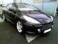 Cornice cromata griglia radiatore Peugeot 307 05-09 Peugeot 307 CC 05-09 Peugeot 307 SW 05-09