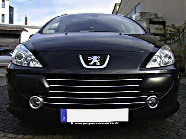 Cornice cromata griglia radiatore Peugeot 307 0509 Peugeot 307 CC 0509 Peugeot 307 SW 0509