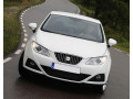 Cornice cromata griglia radiatore Seat Ibiza 08-17 & Seat Ibiza ST