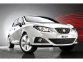 Cornice cromata griglia radiatore Seat Ibiza 08-17 & Seat Ibiza ST