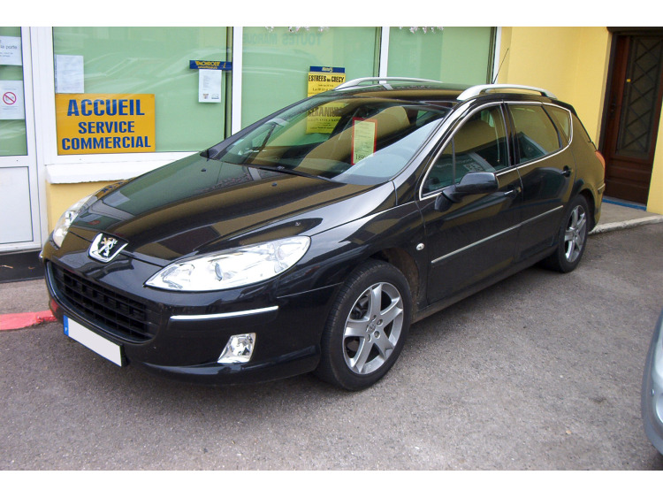 Fascia cromata di contorno dei vetri laterali Peugeot 407 SW