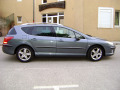 Fascia cromata di contorno dei vetri laterali Peugeot 407 SW
