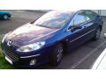 Fascia cromata di contorno dei vetri laterali Peugeot 407