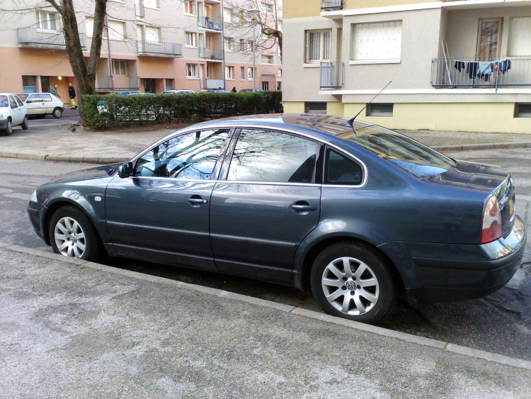 Fascia cromata di contorno dei vetri laterali VW Passat 95-05