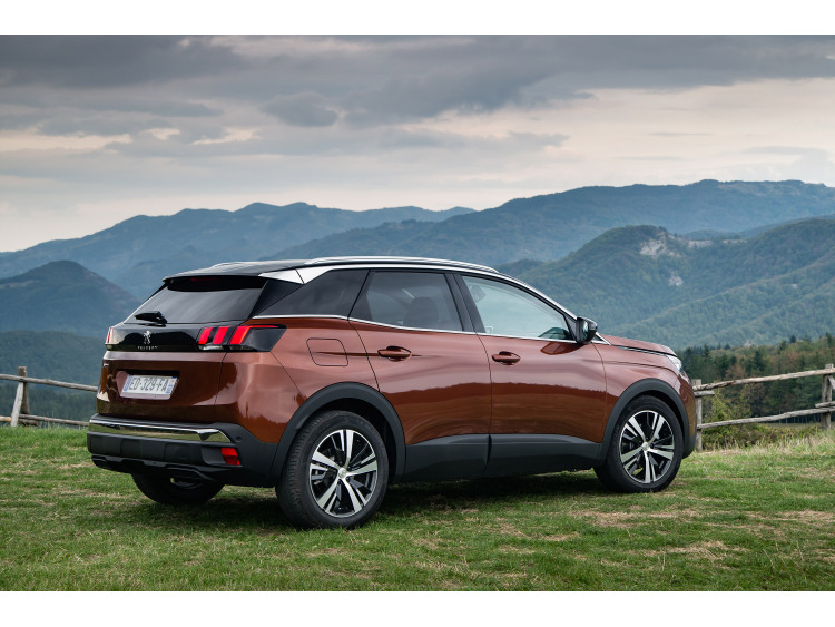 Fascia cromata di contorno inferiore dei vetri laterali Peugeot 3008 II (16-20)