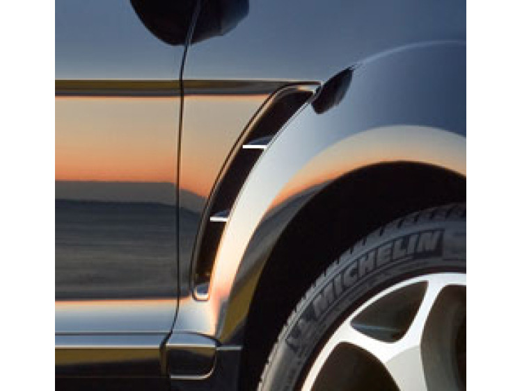 Fascia cromata per aerazione Ford S-Max