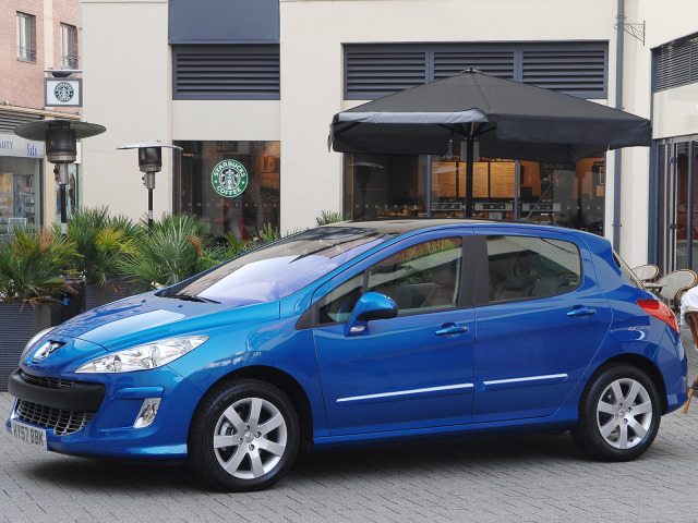 Fascia di protezione laterala cromata Peugeot 308 0713