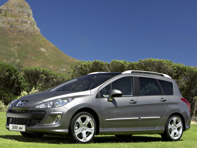 Fascia di protezione laterala cromata Peugeot 308 SW 0814